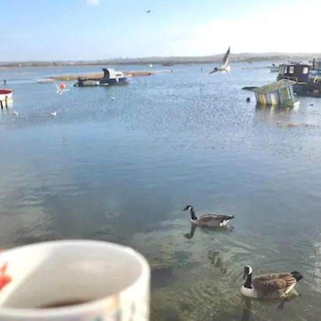 Holes Bay Nature Reserve, Poole, Right Next To The Water Bagian luar foto